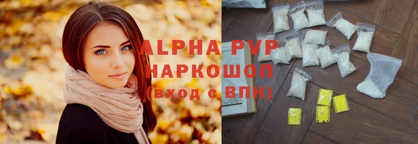 apvp Каменка