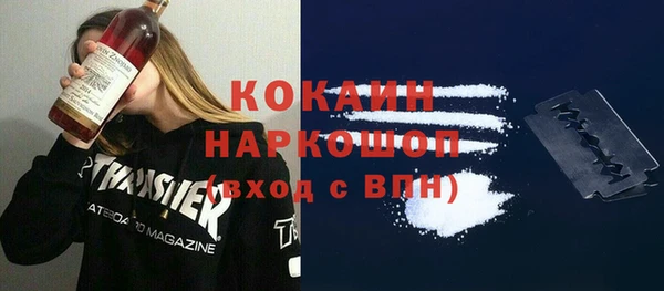 apvp Каменка