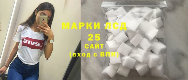 apvp Каменка
