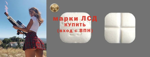 apvp Каменка