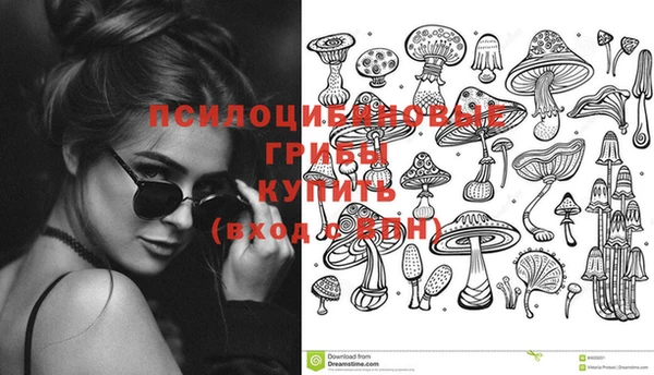 прущие крисы Каменск-Шахтинский