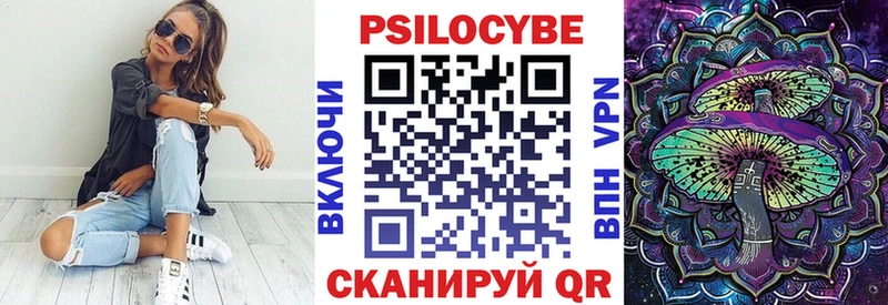 Купить закладки  Могоча  Псилоцибиновые грибы Psilocybe 